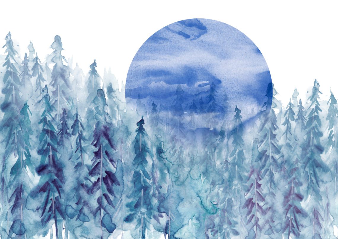 Watercolor group of trees - blue fir, pine, cedar, fir-tree.