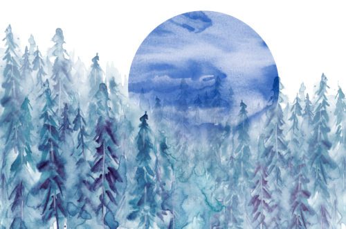 Watercolor group of trees - blue fir, pine, cedar, fir-tree.