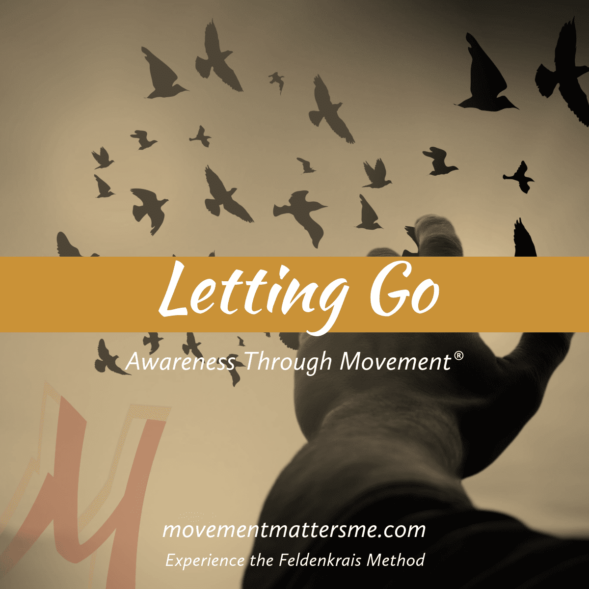 Letting Go - Movement Matters | Feldenkrais